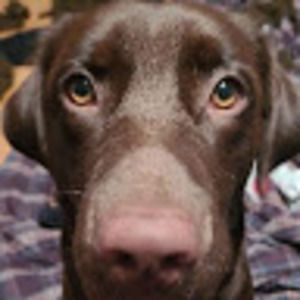 Meet your Posher, Maxx